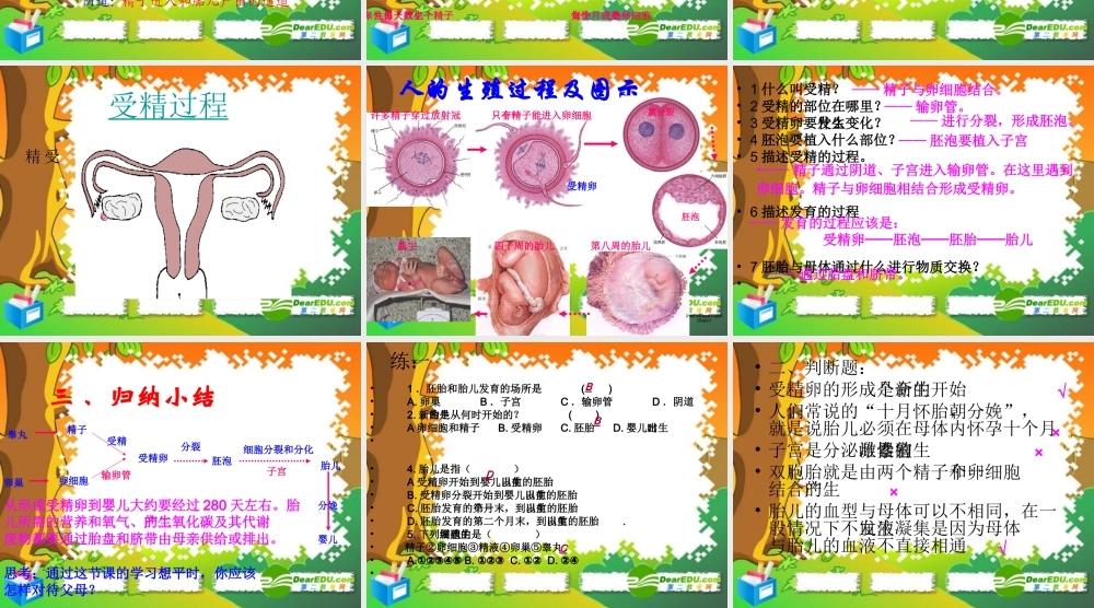 七年级生物下册：第四单元第一章第二节人的生殖6课件 人教版 课件