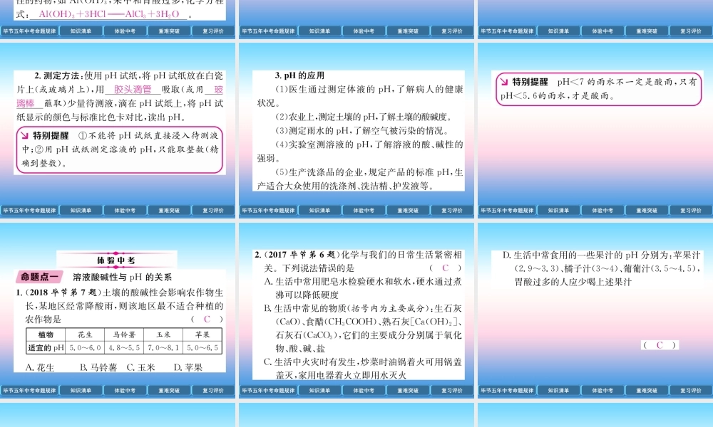 中考化学总复习 第1编 教材知识梳理篇 第10单元 酸和碱 第2讲 中和反应 pH(精讲)课件
