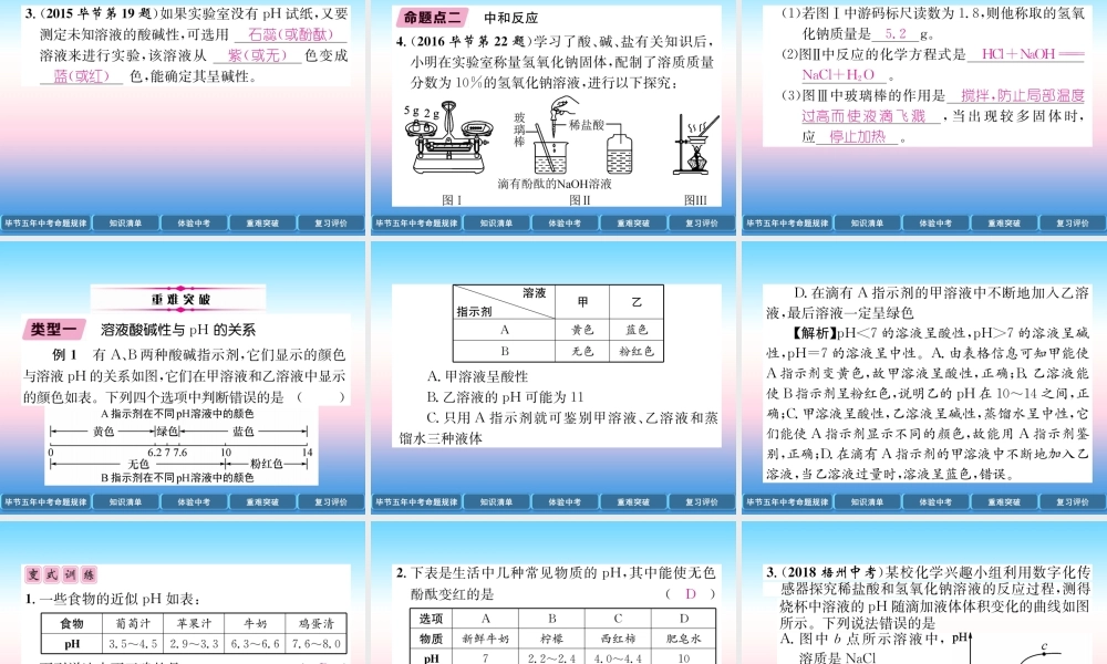 中考化学总复习 第1编 教材知识梳理篇 第10单元 酸和碱 第2讲 中和反应 pH(精讲)课件