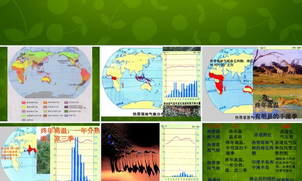 中学七年级地理上册 4.4 世界主要气候类型课件 湘教版 课件