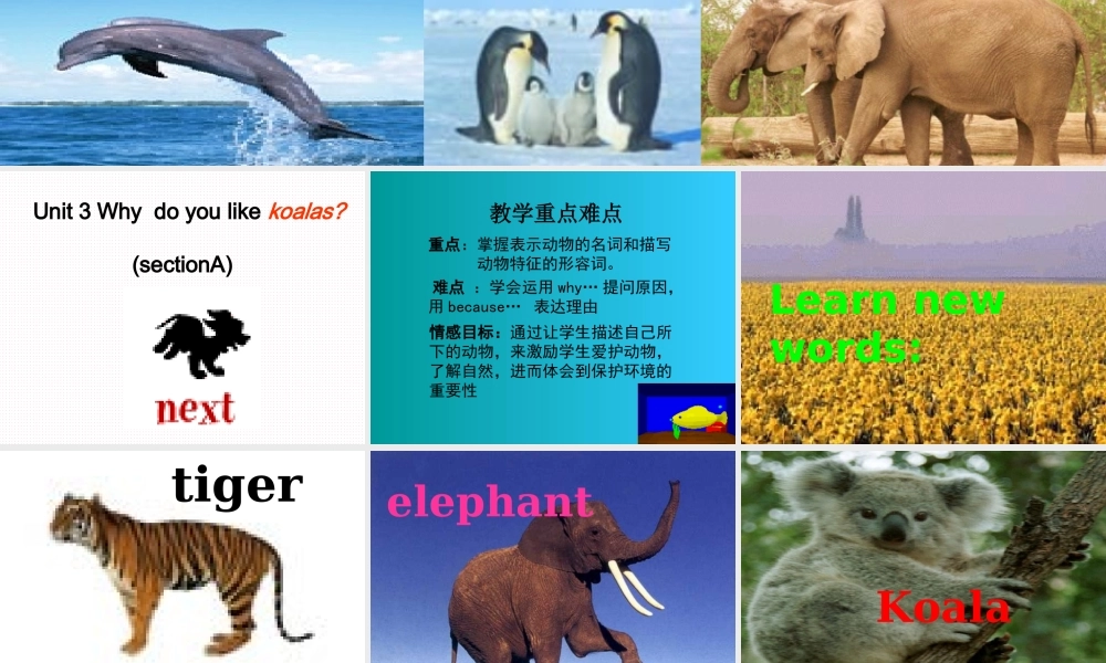 七年级英语下册 UUnit 3 Why  do you like koalas课件 人教新目标版 课件