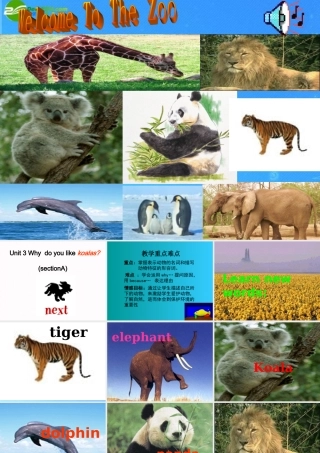 七年级英语下册 UUnit 3 Why  do you like koalas课件 人教新目标版 课件