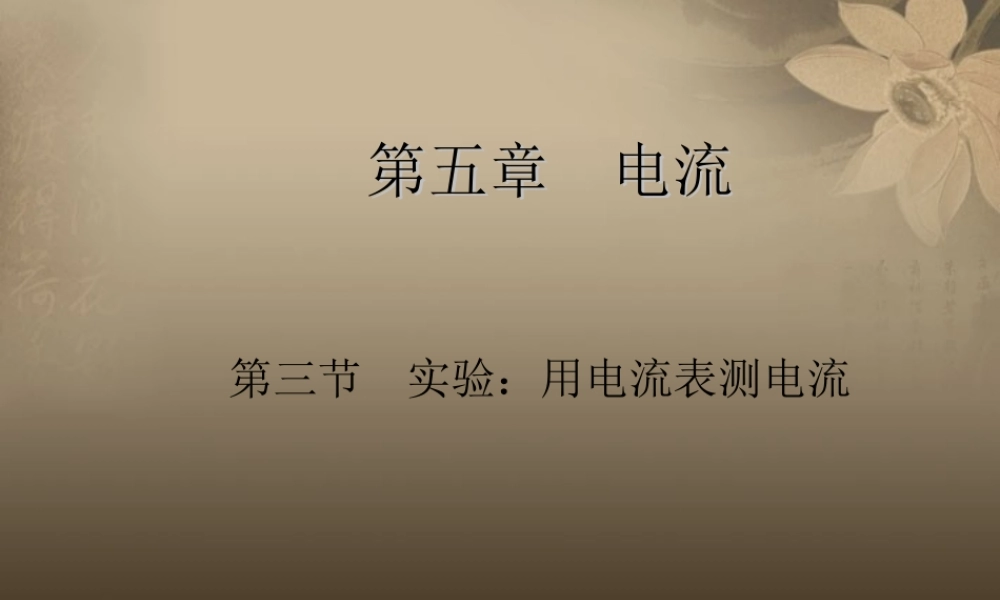 八年级物理下册 电流和电路专题复习 串、并联电路中的电流课件 新人教版 课件