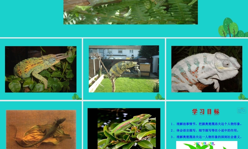 九年级语文下册 第二单元 6 变色龙课件 新人教版 课件