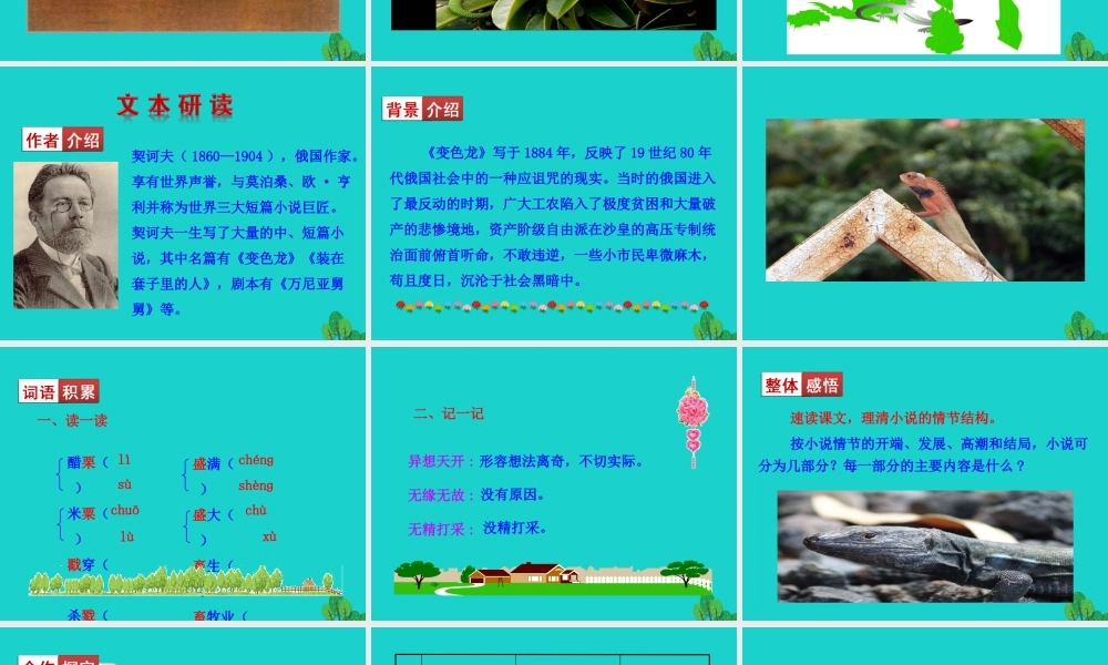 九年级语文下册 第二单元 6 变色龙课件 新人教版 课件