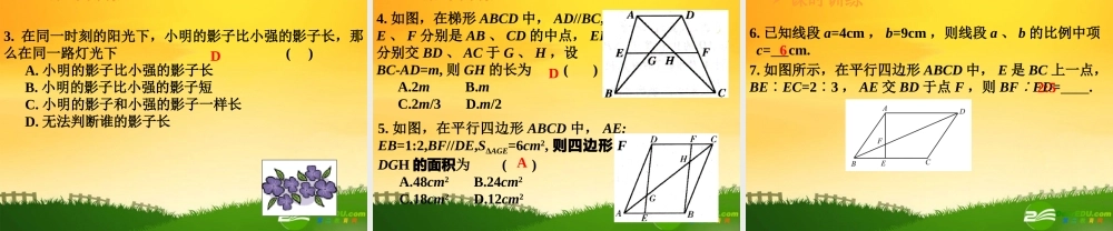 九年级数学中考专题(空间与图形)—第十三讲(相似图形(一))课件(北师大版) 九年级数学中考专题课件-空间与图形(共18套)北师大版