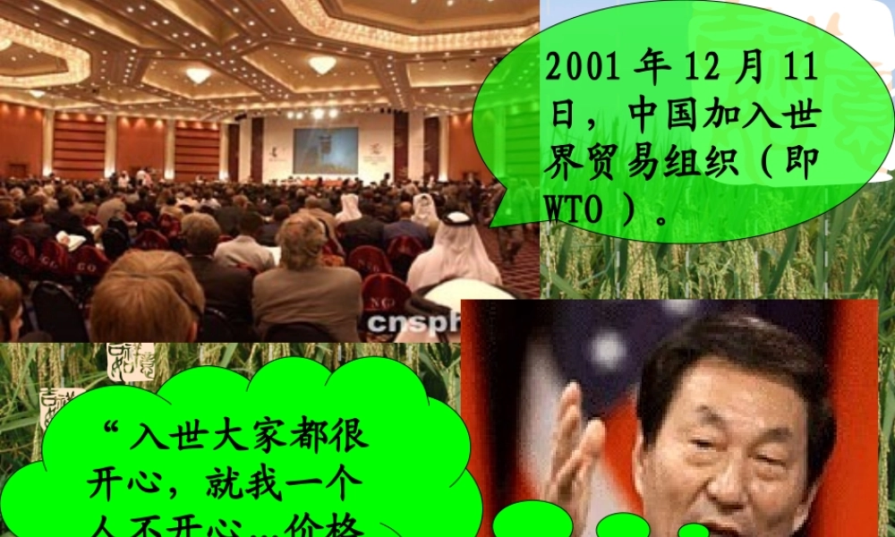 八年级地理 第一课时 因地制宜发展农业课件