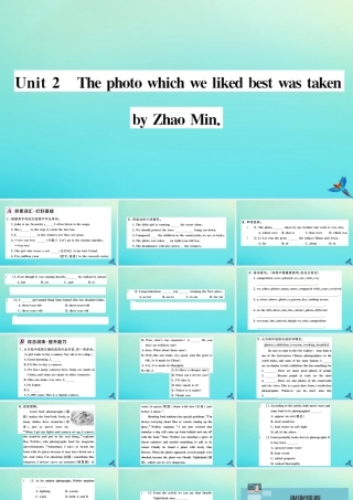 九年级英语上册 Module 11 Photos Unit 2 The photo which we liked best was taken by Zhao Min习题课件 (新版)外研版 课件