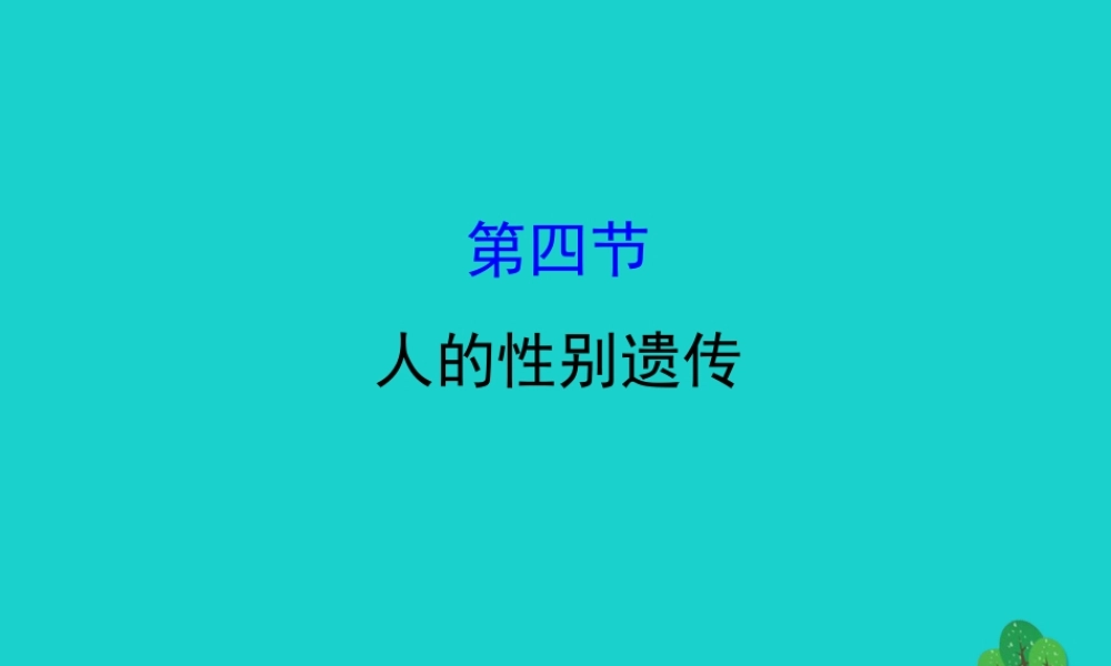 八年级生物下册 7.2.4人的性别遗传习题课件(新版)新人教版 课件