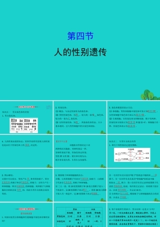 八年级生物下册 7.2.4人的性别遗传习题课件(新版)新人教版 课件