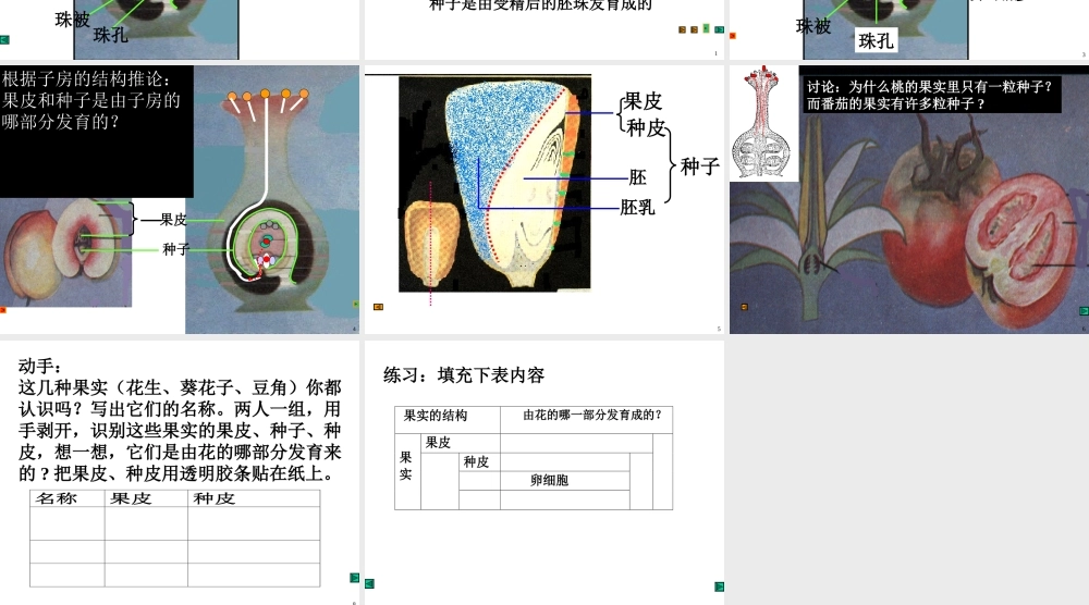 七年级生物第二章 第三节 开花和结果课件