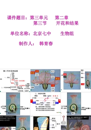 七年级生物第二章 第三节 开花和结果课件