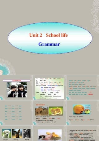 八年级英语上册(Unit 2 School life)Grammar课件 牛津译林版 课件
