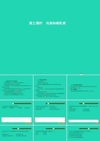 七年级生物上册 2.2.2 脊椎动物的主要类群(第3课时 鸟类和哺乳类)课件 (新版)济南版 课件