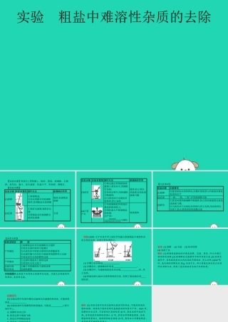 中考化学总复习 实验 粗盐中难溶性杂质的去除课件