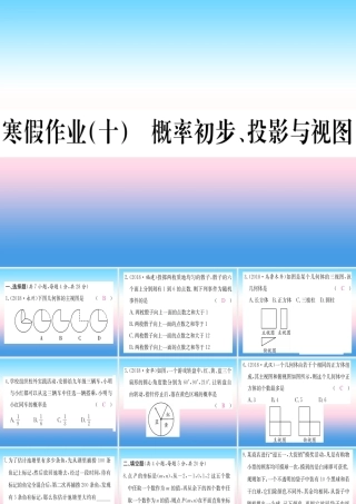 九年级数学下册 寒假作业(十)概率初步、投影与视图课堂导练课件(含中考真题)(新版)新人教版 课件