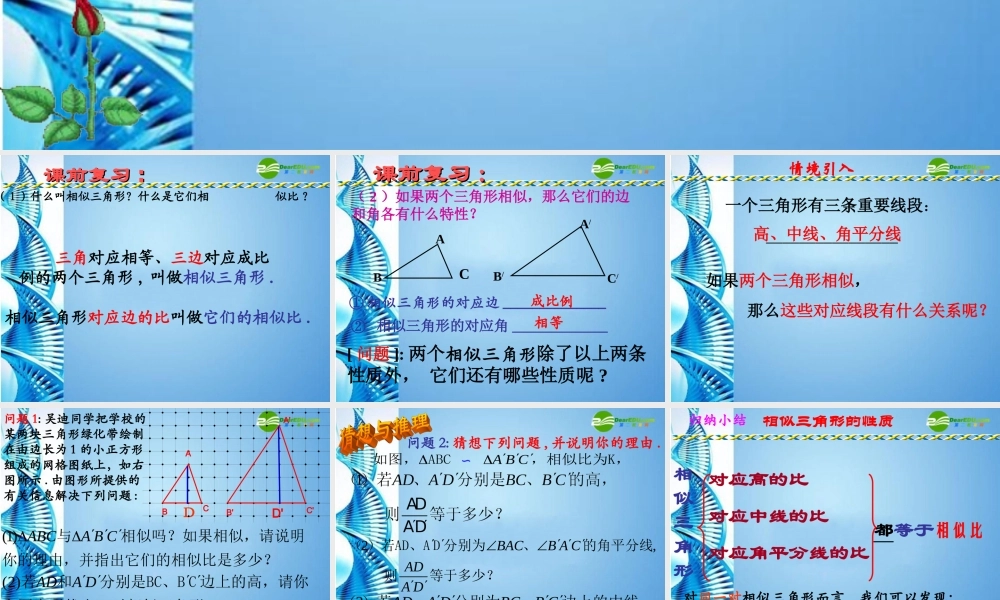 九年级数学上册 34(相似多边形及性质)课件 湘教版 课件