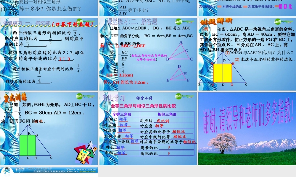 九年级数学上册 34(相似多边形及性质)课件 湘教版 课件