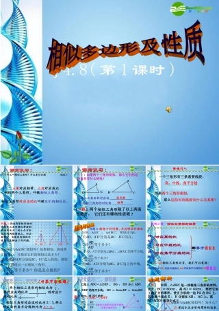 九年级数学上册 34(相似多边形及性质)课件 湘教版 课件