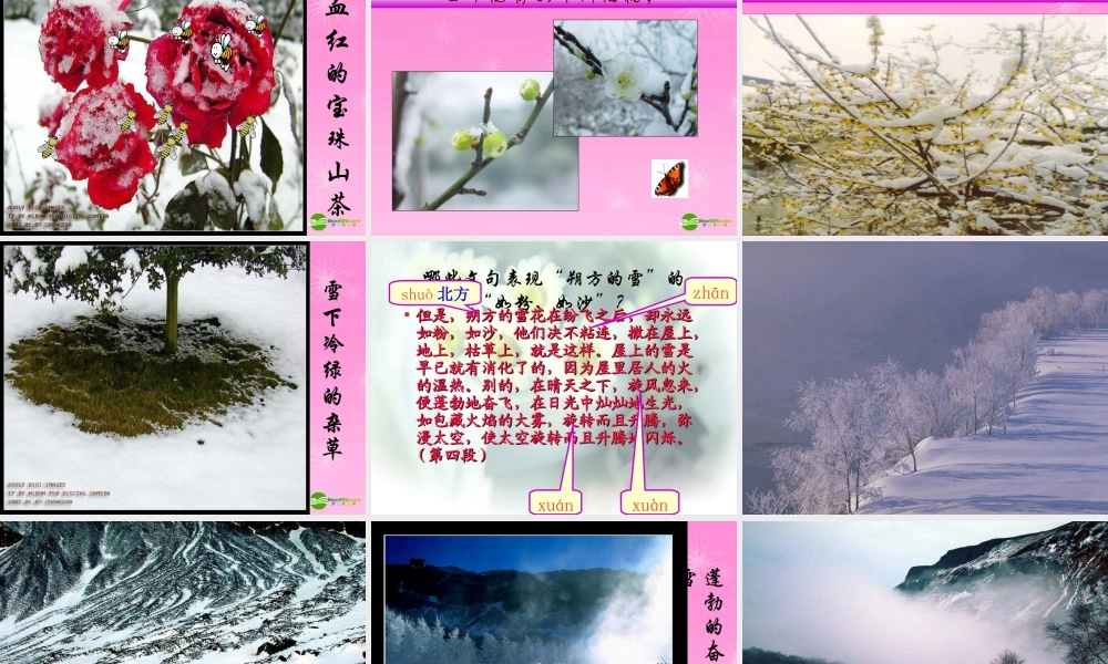 八年级语文下册 第6课(雪)课件 新课标人教版 课件