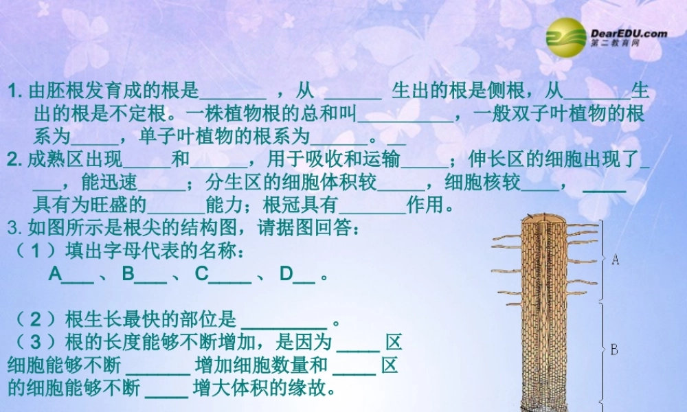 中学八年级生物上册 芽的类型和结构课件 济南版 课件