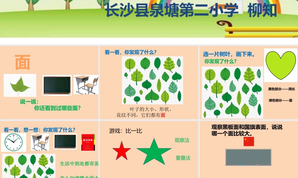 信息窗一(面积和面积单位)-(2)