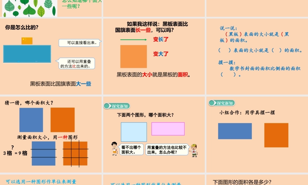 信息窗一(面积和面积单位)-(2)