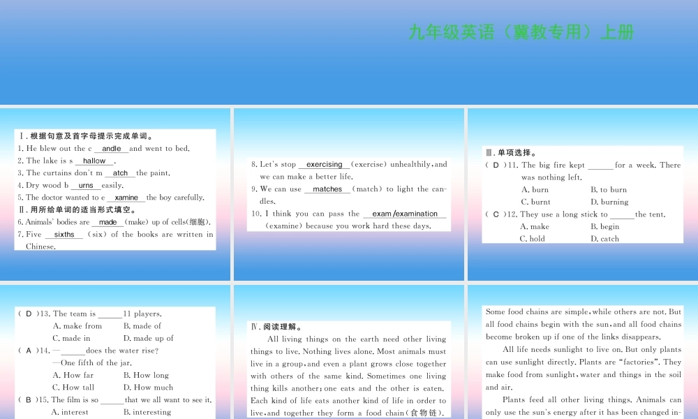 九年级英语上册 Unit 5 Look into Science Lesson 26 Keep the Candle Burning习题课件 (新版)冀教版 课件