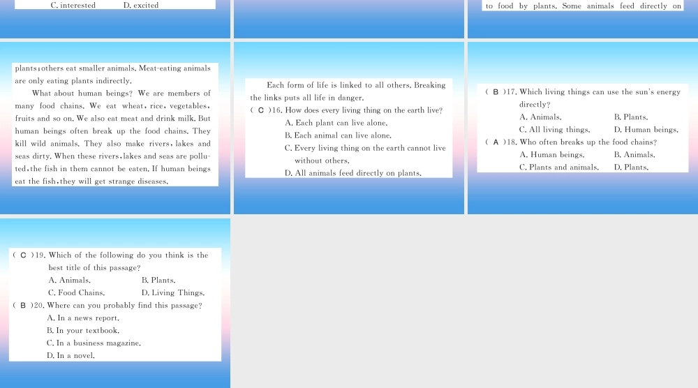 九年级英语上册 Unit 5 Look into Science Lesson 26 Keep the Candle Burning习题课件 (新版)冀教版 课件