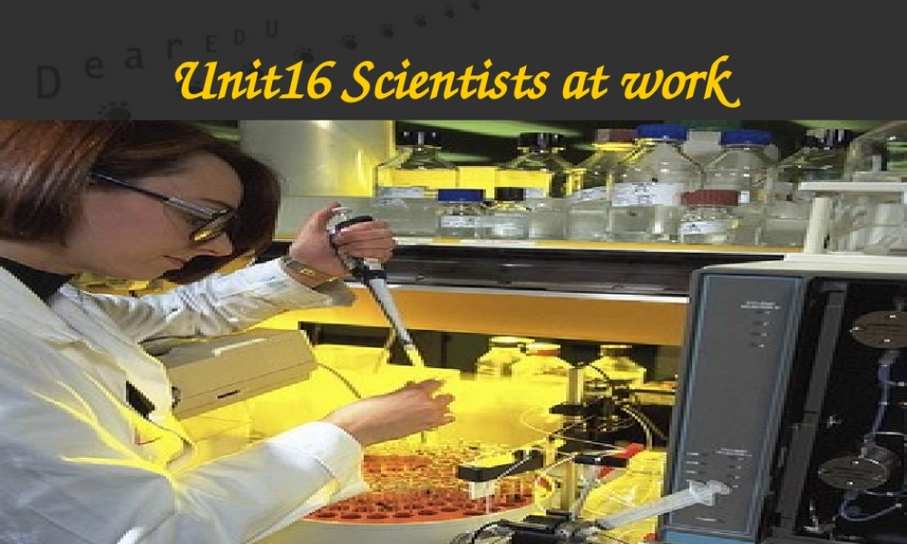 人教版高一英语Unit16 Scientists at work2 课件