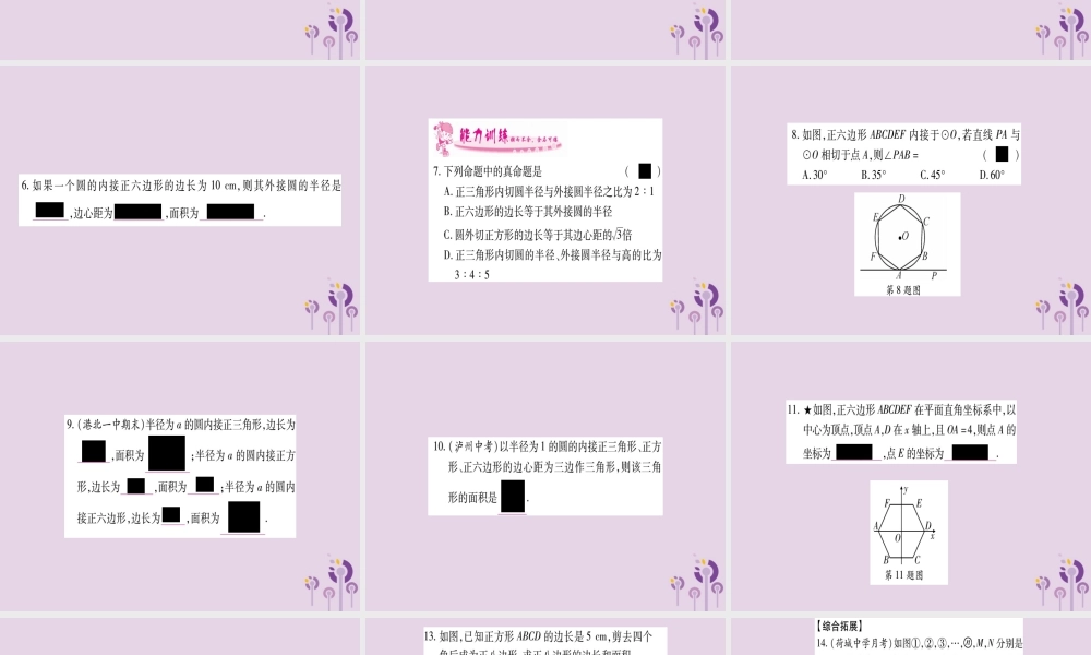 九年级数学下册 第2章 圆 27 正多边形与圆作业课件 (新版)湘教版 课件