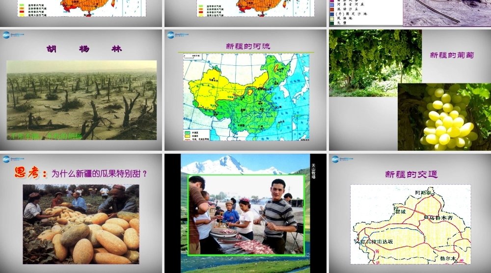 八年级地理下册 8.3(新疆维吾尔自治区的地理概况与区域开发)课件1 (新版)湘教版 课件