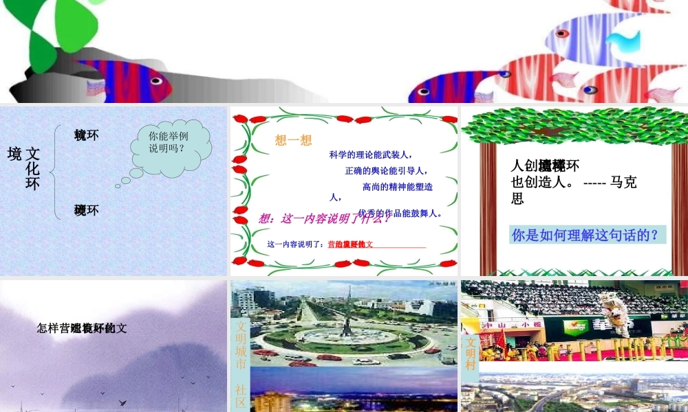 中考政治专题复习 营造美好的文化环境 课件