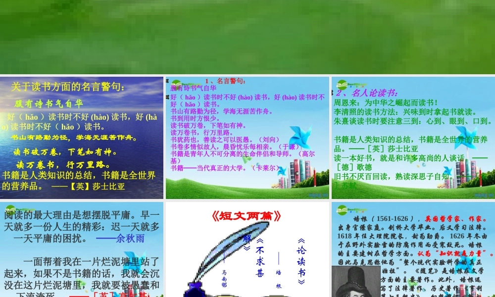 九年级语文上册(短文两篇·不求甚解·谈读书)优秀课件(42页) 人教新课标版 课件