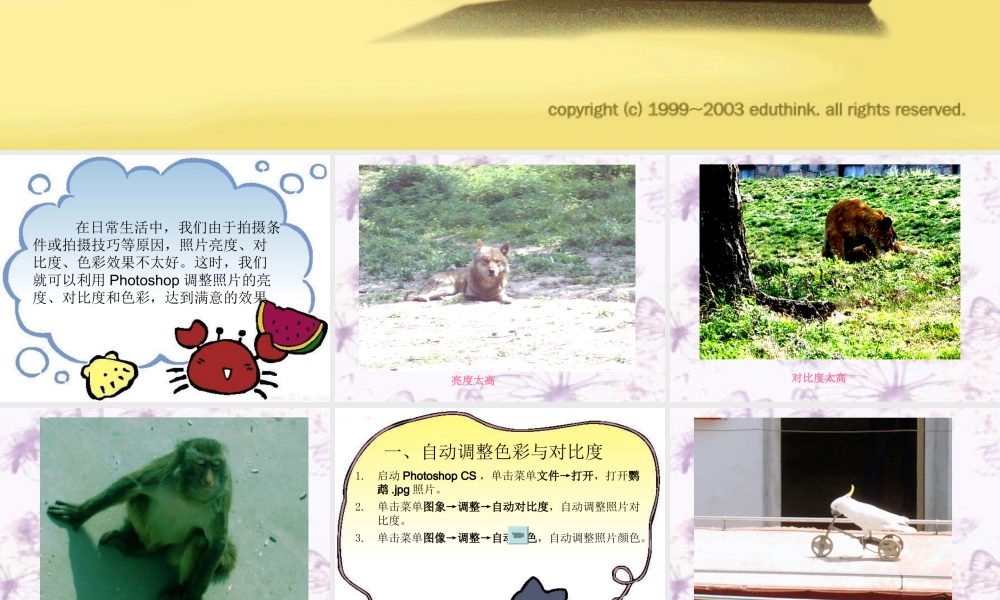 初中信息调整参数图象新课件