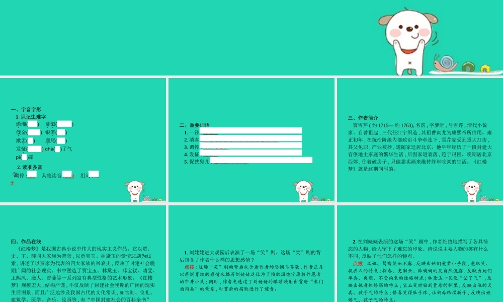 九年级语文上册 第六单元 24 刘姥姥进大观园课件 新人教版 课件