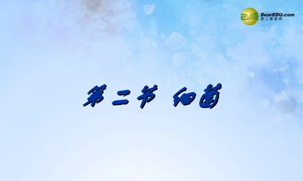 八年级生物上册 第五单元 4.2 细菌课件 新人教版 课件