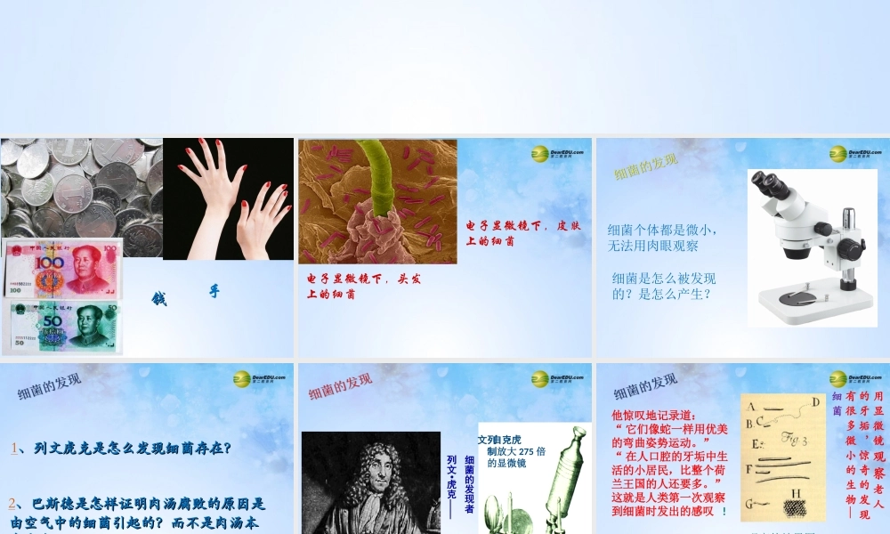 八年级生物上册 第五单元 4.2 细菌课件 新人教版 课件