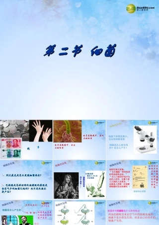 八年级生物上册 第五单元 4.2 细菌课件 新人教版 课件