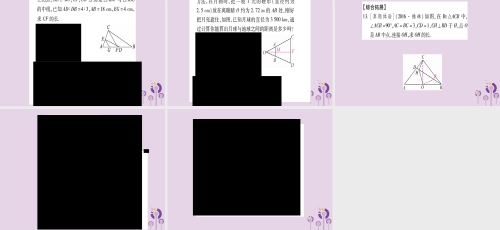 九年级数学上册 第3章 图形的相似 34 相似三角形的判定与性质 342 第1课时 作业课件 (新版)湘教版 课件