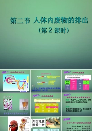 八年级生物上册 15.2 人体内废物的排出(第2课时)课件 (新版)苏科版 课件