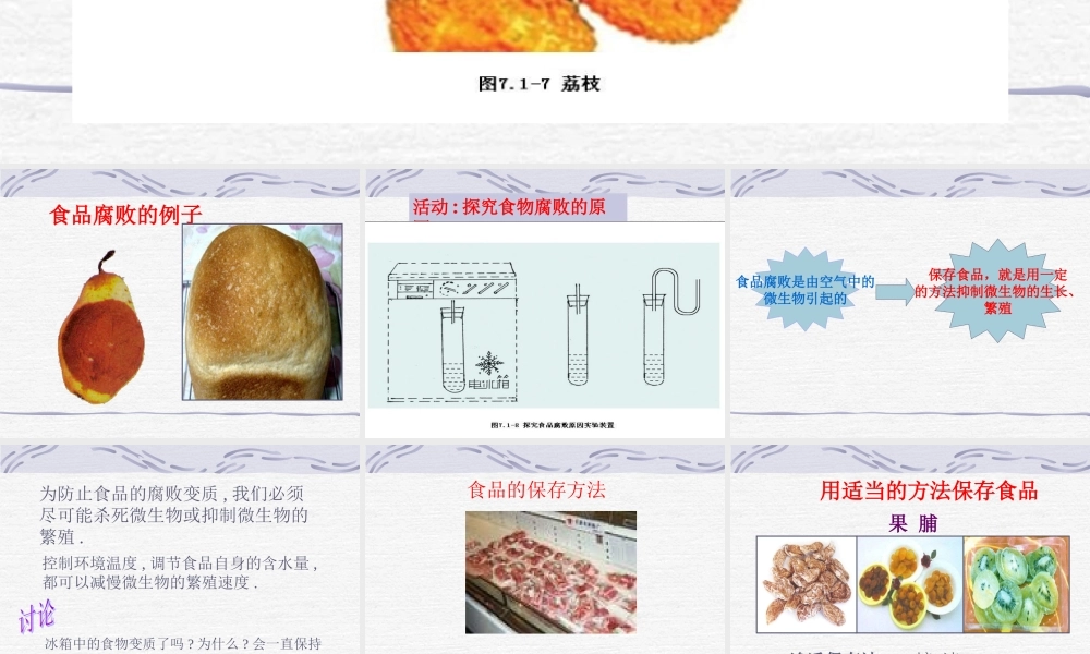 八年级生物下：第七单元第一章第二节食品贮存课件济南版 课件