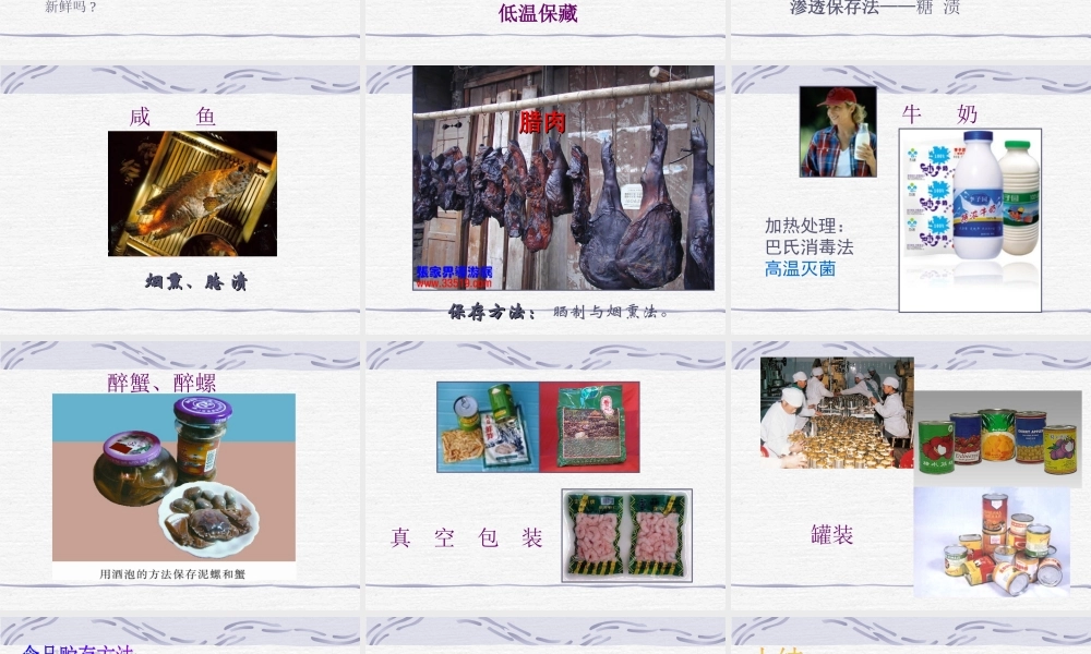 八年级生物下：第七单元第一章第二节食品贮存课件济南版 课件