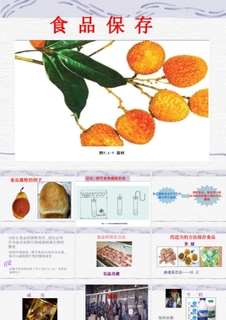 八年级生物下：第七单元第一章第二节食品贮存课件济南版 课件
