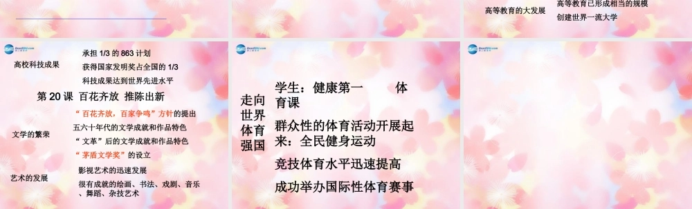 山东省泰安市新泰八年级历史下册 第六单元 科技教育与文化复习课件3 新人教版 课件