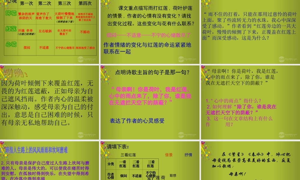 中学七年级语文上册 第4课(荷叶母亲)公开课课件 (新版)新人教版 课件