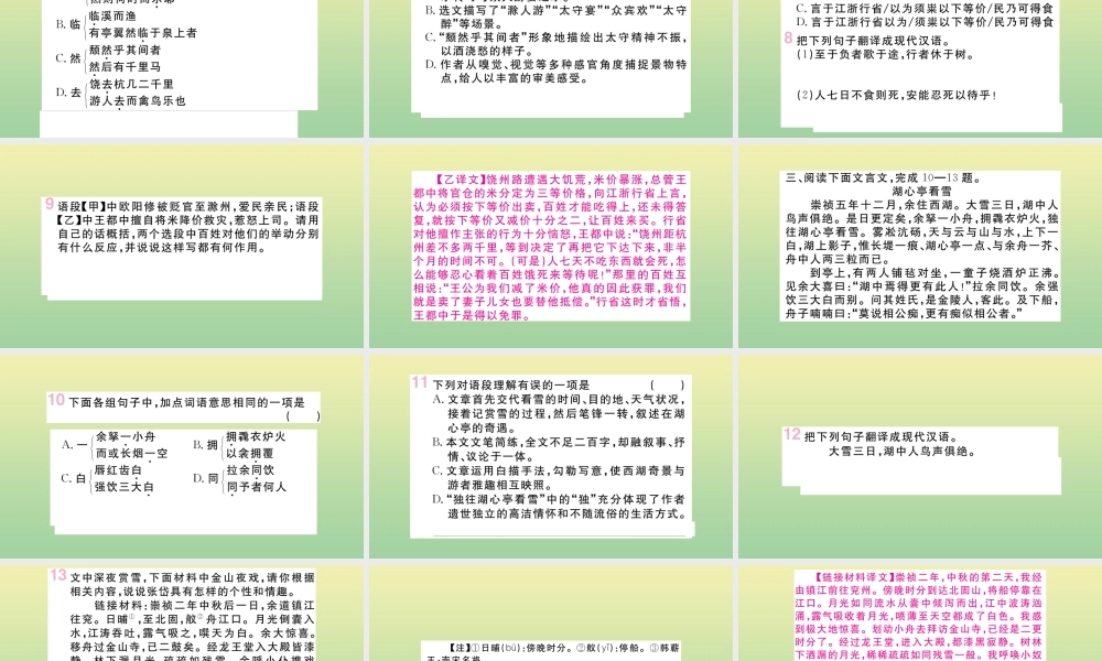 九年级语文上册 专题九 文言文阅读作业课件 新人教版 课件