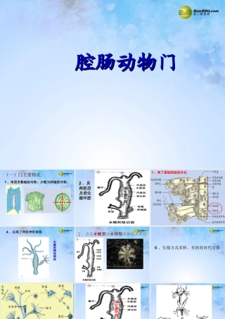 八年级生物上册 第五单元 1.1 腔肠动物门课件 (新版)新人教版 课件