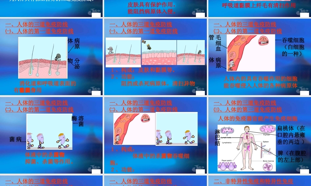 八年级生物 免疫 课件