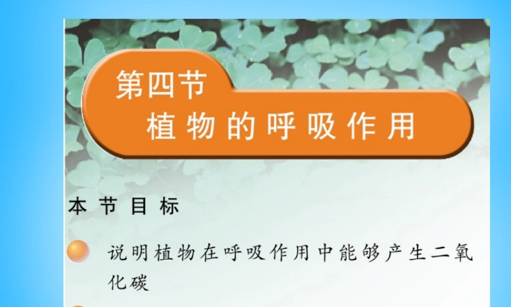 中学七年级生物上册 第6章 第4节 植物的呼吸作用课件 苏教版 课件